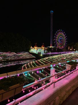 レオマリゾートに投稿された画像（2023/9/1）