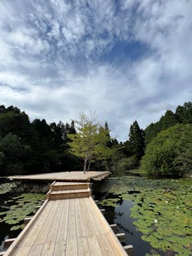 神戸六甲ミーツ・アート2025 beyondに投稿された画像（2023/9/1）