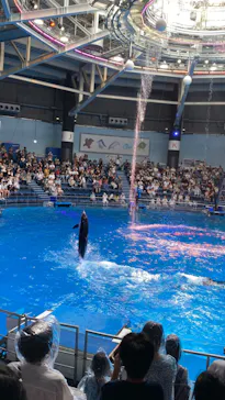 マクセル アクアパーク品川に投稿された画像（2023/9/1）