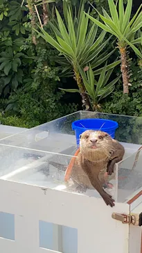 マクセル アクアパーク品川に投稿された画像（2023/9/1）