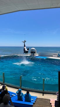 鴨川シーワールドに投稿された画像（2023/9/1）