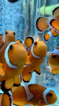 鴨川シーワールドに投稿された画像（2023/9/1）