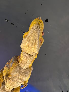 福井県立恐竜博物館に投稿された画像（2023/9/1）