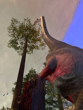 福井県立恐竜博物館に投稿された画像（2023/9/1）