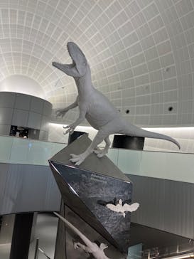 福井県立恐竜博物館に投稿された画像（2023/9/1）