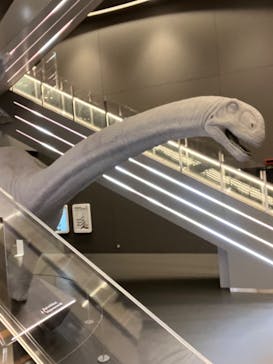 福井県立恐竜博物館に投稿された画像（2023/9/1）