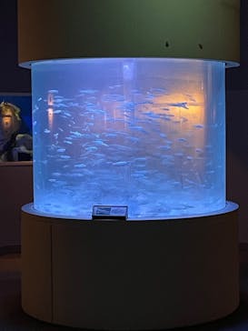 登別マリンパークニクスに投稿された画像（2023/9/1）