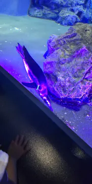 すみだ水族館に投稿された画像（2023/9/1）