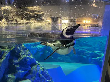 すみだ水族館に投稿された画像（2023/9/1）