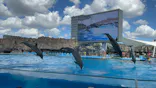 名古屋港水族館に投稿された画像（2023/9/1）