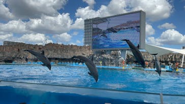 名古屋港水族館に投稿された画像（2023/9/1）