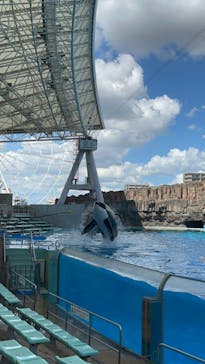 名古屋港水族館に投稿された画像（2023/9/1）