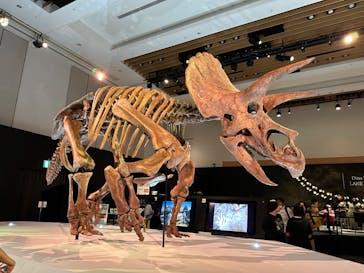 DinoScience 恐竜科学博 2023@TOKYO MIDTOWNに投稿された画像（2023/9/1）