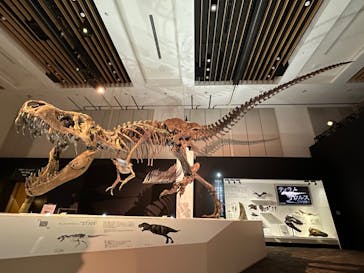 DinoScience 恐竜科学博 2023@TOKYO MIDTOWNに投稿された画像（2023/9/1）