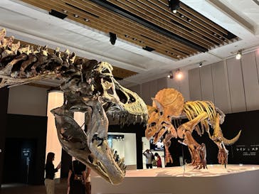 DinoScience 恐竜科学博 2023@TOKYO MIDTOWNに投稿された画像（2023/9/1）
