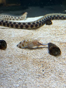 AOAO SAPPOROに投稿された画像（2023/9/1）