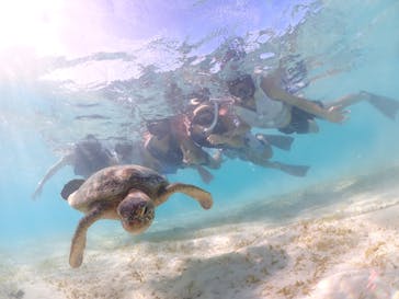 宮古島マリン GB QUESTに投稿された画像（2023/9/1）