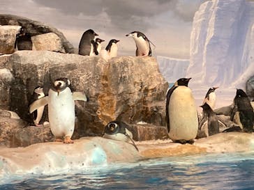 名古屋港水族館に投稿された画像（2023/9/1）