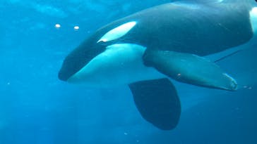 名古屋港水族館に投稿された画像（2023/9/1）