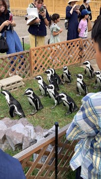 名古屋港水族館に投稿された画像（2023/9/1）