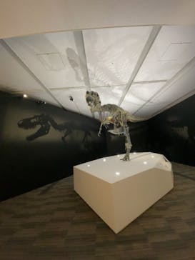 DinoScience 恐竜科学博 2023@TOKYO MIDTOWNに投稿された画像（2023/9/1）