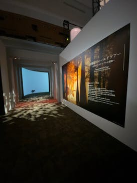 DinoScience 恐竜科学博 2023@TOKYO MIDTOWNに投稿された画像（2023/9/1）