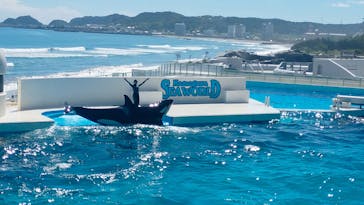 鴨川シーワールドに投稿された画像（2023/9/1）