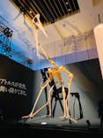 DinoScience 恐竜科学博 2023@TOKYO MIDTOWNに投稿された画像（2023/9/1）