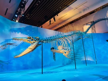 DinoScience 恐竜科学博 2023@TOKYO MIDTOWNに投稿された画像（2023/9/1）