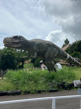 伊豆ぐらんぱる公園に投稿された画像（2023/9/1）