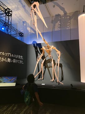 DinoScience 恐竜科学博 2023@TOKYO MIDTOWNに投稿された画像（2023/9/1）