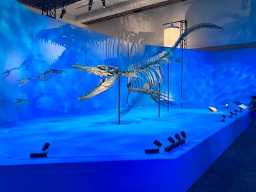 DinoScience 恐竜科学博 2023@TOKYO MIDTOWNに投稿された画像（2023/9/1）