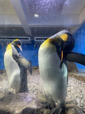 南知多ビーチランド＆南知多おもちゃ王国に投稿された画像（2023/9/1）