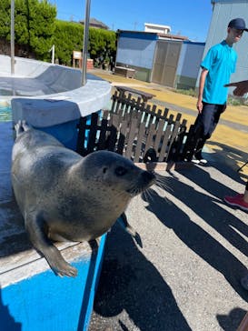 南知多ビーチランド＆南知多おもちゃ王国に投稿された画像（2023/9/1）