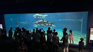 アクアワールド茨城県大洗水族館に投稿された画像（2023/9/1）