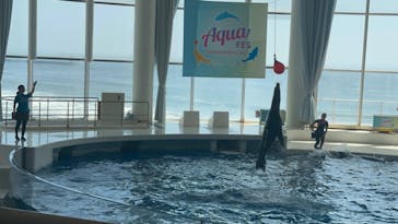 アクアワールド茨城県大洗水族館に投稿された画像（2023/9/1）