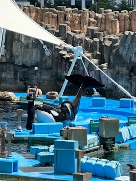 名古屋港水族館に投稿された画像（2023/9/1）