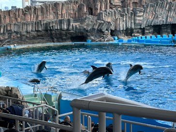 名古屋港水族館に投稿された画像（2023/9/1）