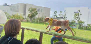 神戸どうぶつ王国に投稿された画像（2023/9/1）