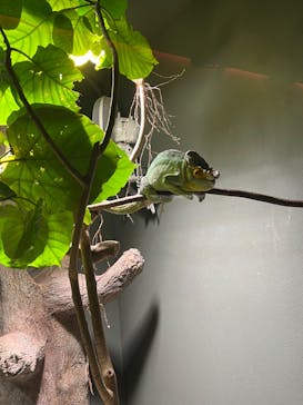 カワスイ 川崎⽔族館に投稿された画像（2023/9/1）