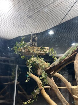 カワスイ 川崎⽔族館に投稿された画像（2023/9/1）