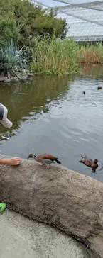 神戸どうぶつ王国に投稿された画像（2023/9/1）