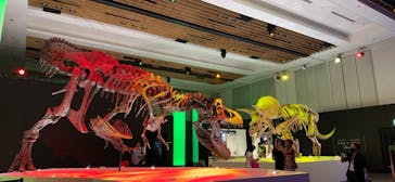 DinoScience 恐竜科学博 2023@TOKYO MIDTOWNに投稿された画像（2023/9/1）