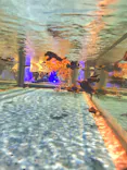 名古屋港水族館に投稿された画像（2023/9/2）