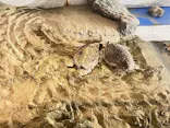 名古屋港水族館に投稿された画像（2023/9/2）