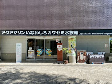 アクアマリンいなわしろカワセミ水族館に投稿された画像（2023/9/1）