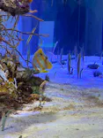 名古屋港水族館に投稿された画像（2023/9/2）