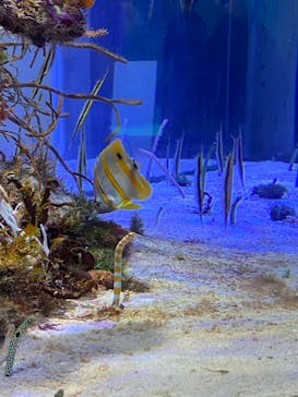 名古屋港水族館に投稿された画像（2023/9/1）