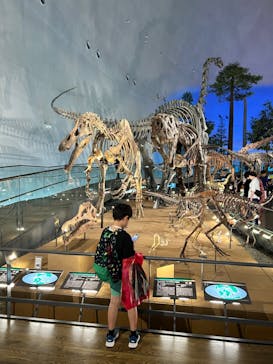 福井県立恐竜博物館に投稿された画像（2023/9/1）