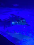 サンシャイン水族館に投稿された画像（2023/9/2）